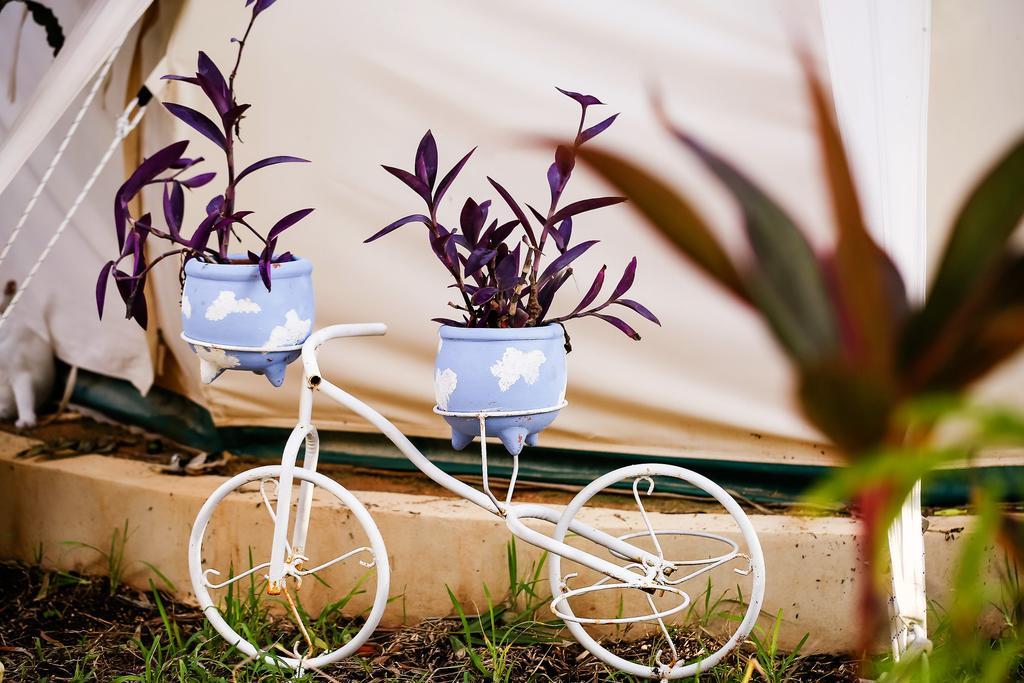 Harmony Glamping Boutique Hotel And Yoga Tulum Room photo